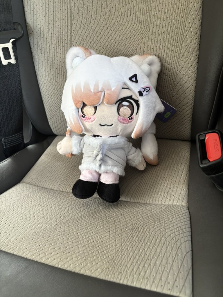 Milk🥛🐈 ミルク tweet media