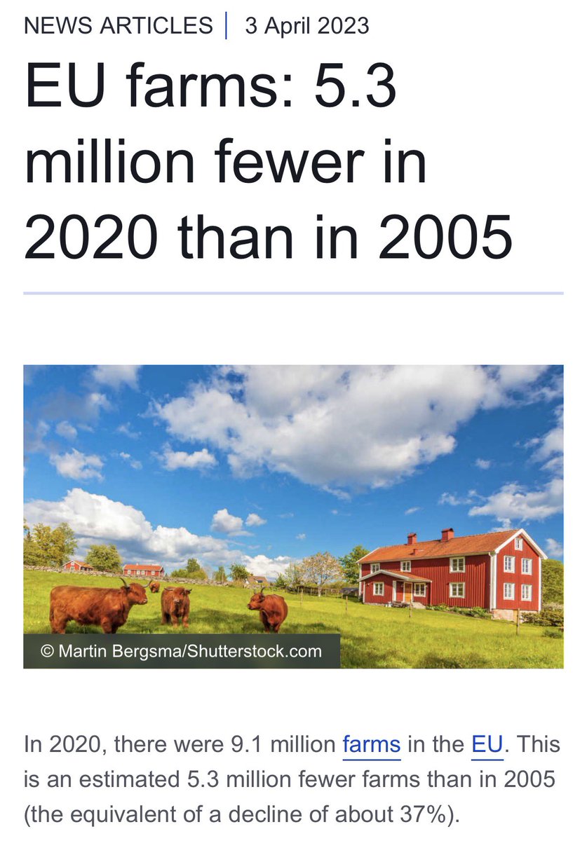 Bumper Crop tweet media