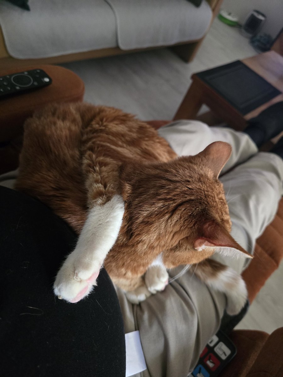 René en Katâh Thès 🐈 tweet media