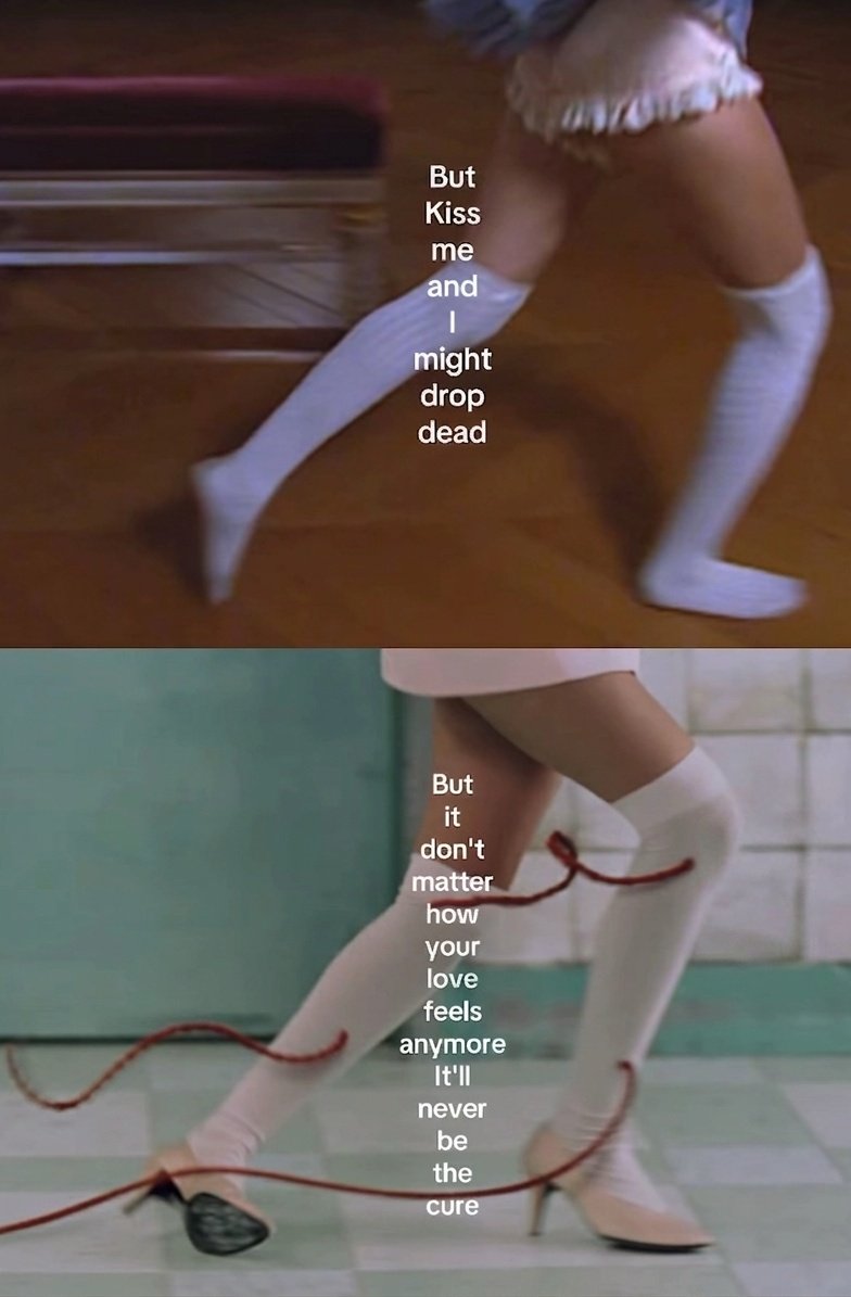 🌬️𝕸𝖆𝖝𝖎💨🩵 tweet media