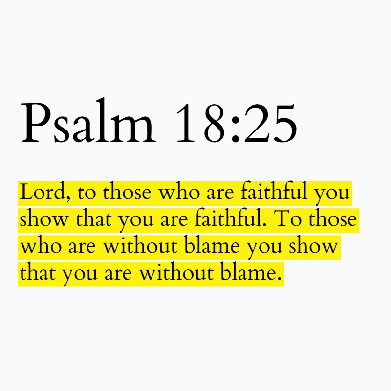 Holy Bible tweet media