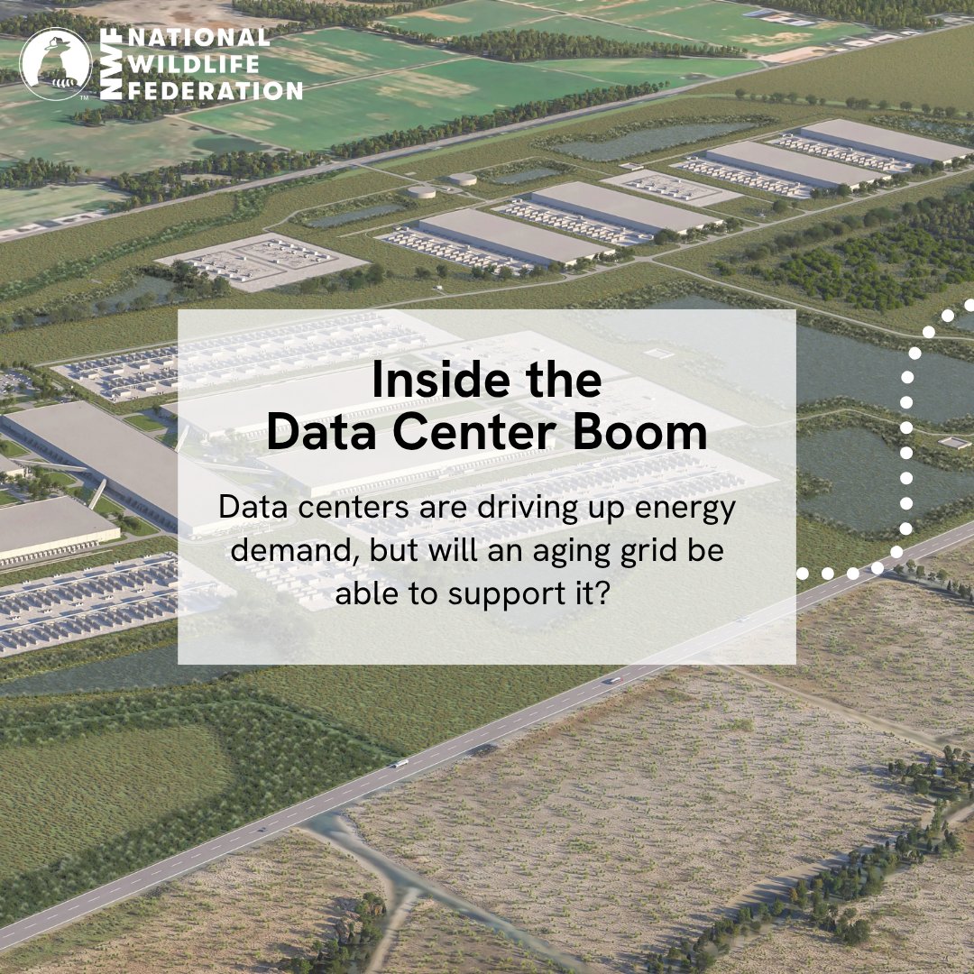 wildlifeaction's tweet photo. #DataCenters are driving energy demand. One AI data center consumes as much electricity as 100,000 homes. This pressure pushes utility companies to rely more on expensive, fossil-fuel based energy with customers &amp; wildlife paying the cost.📲 https://t.co/XCfJtGjERa https://t.co/hWrl86E3Of