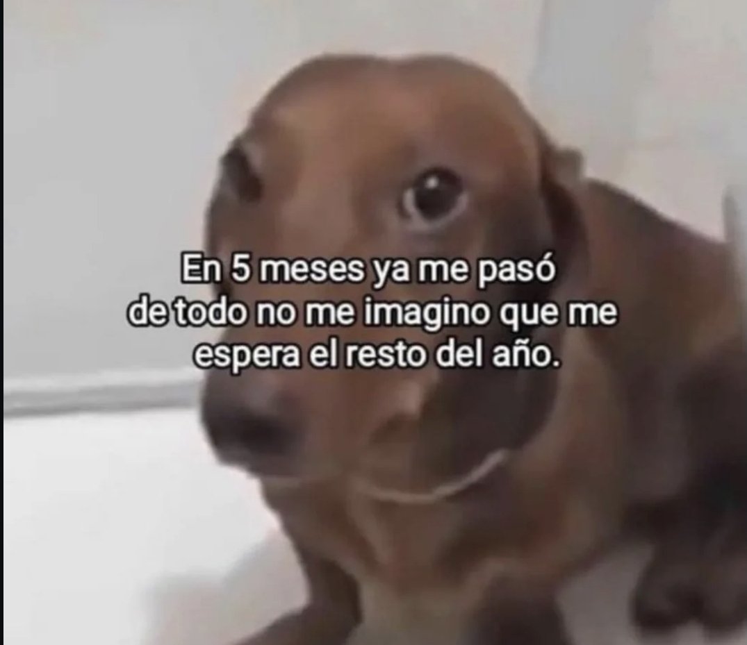 navarro tweet media