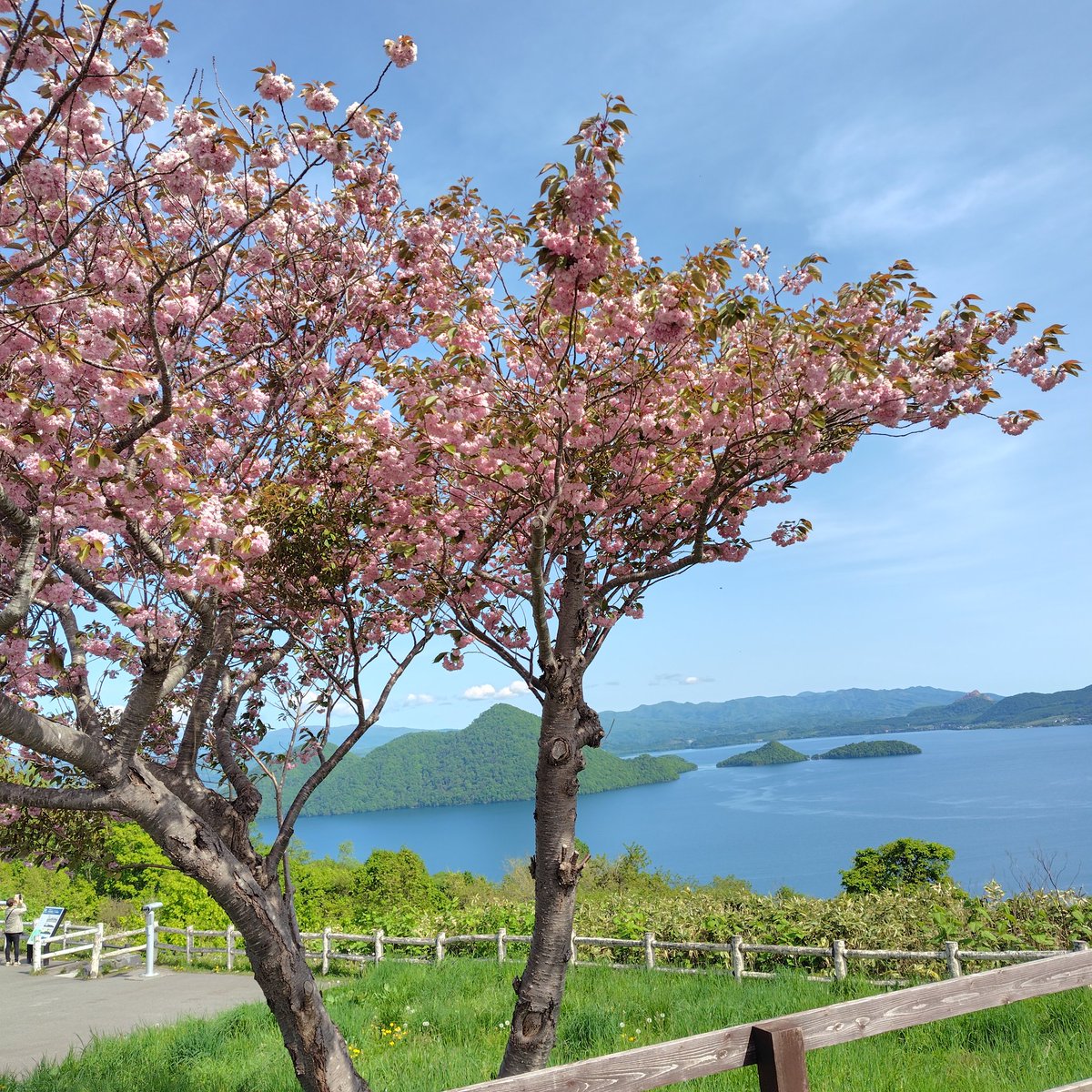 3ki3yo3's tweet photo. 洞爺湖サイロ展望台に行って来た
今日は天気良くて暑い位。
我が売り場を、掃除して皆の作品を納品、陳列して仕事完了。
その後はコンテナカフェでアイスやポテト買って、仲間と、洞爺湖と桜見ながらおしゃべり。
仕事だけど、毎回、楽しくて癒されたー(⁠*⁠´⁠ω⁠｀⁠*⁠) https://t.co/ZCgIRWzdSc