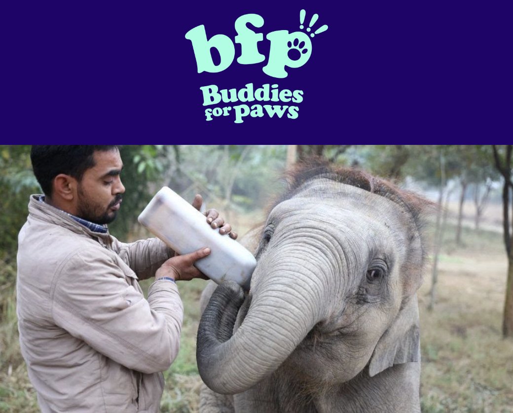 BFP tweet media