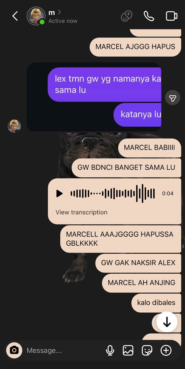 kiana tweet media