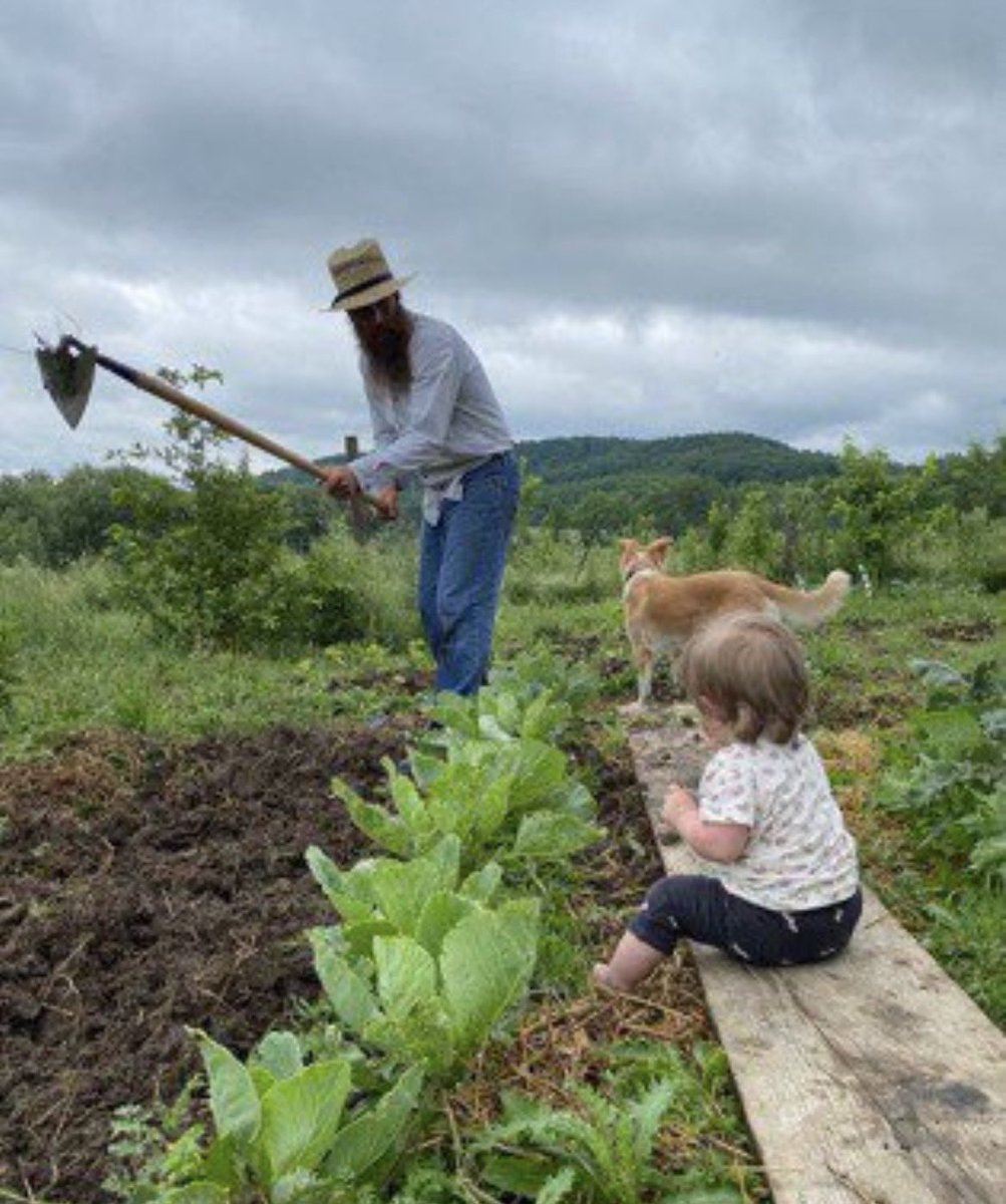 Michael Thomas of Sharon 🌳🌳🌳🐑🐕🏡 tweet media