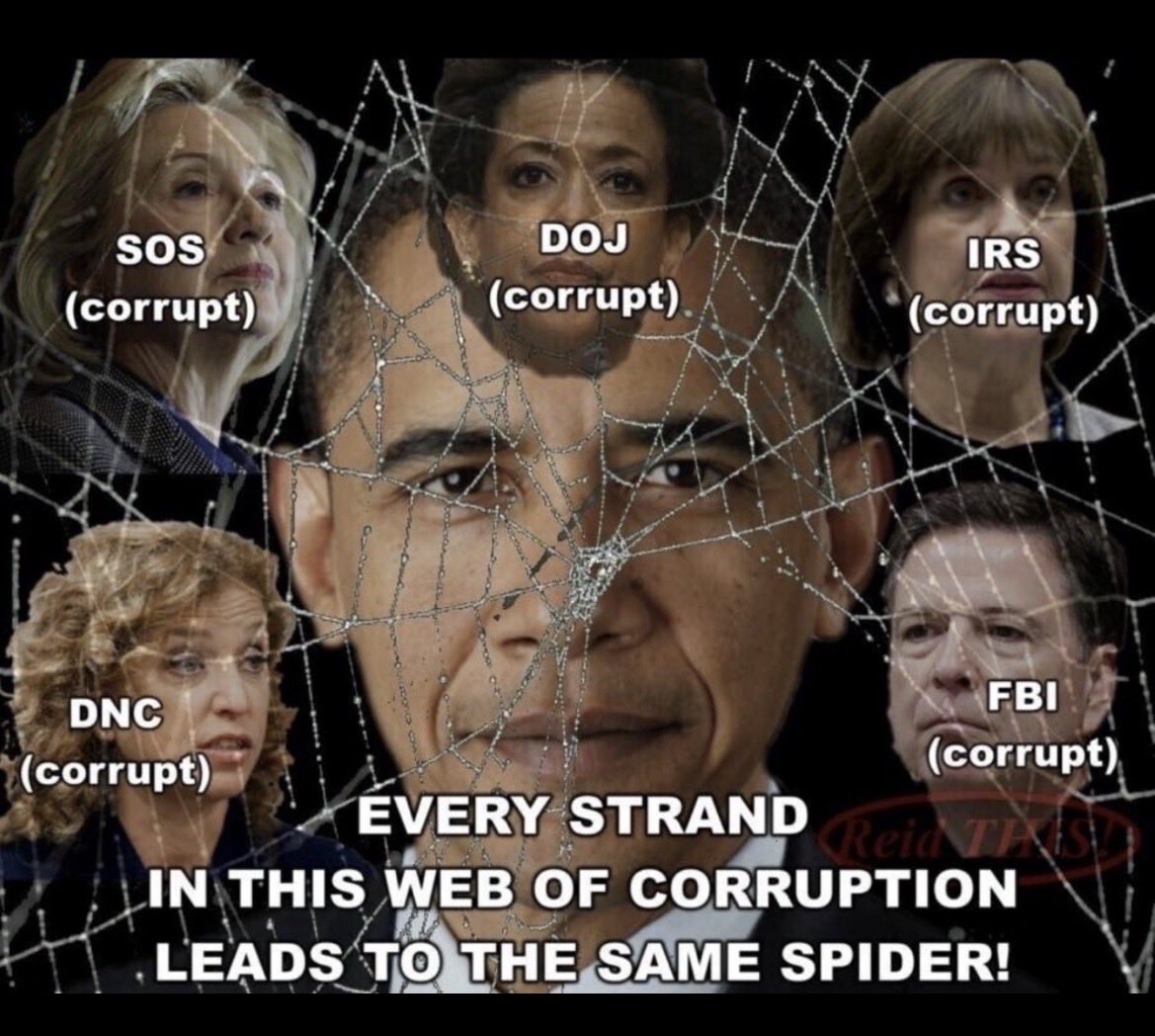 Truthseeker🇺🇸 tweet media