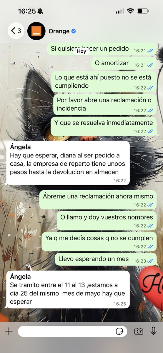 Diana Blanco tweet media