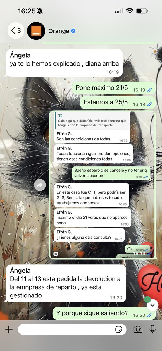 Diana Blanco tweet media