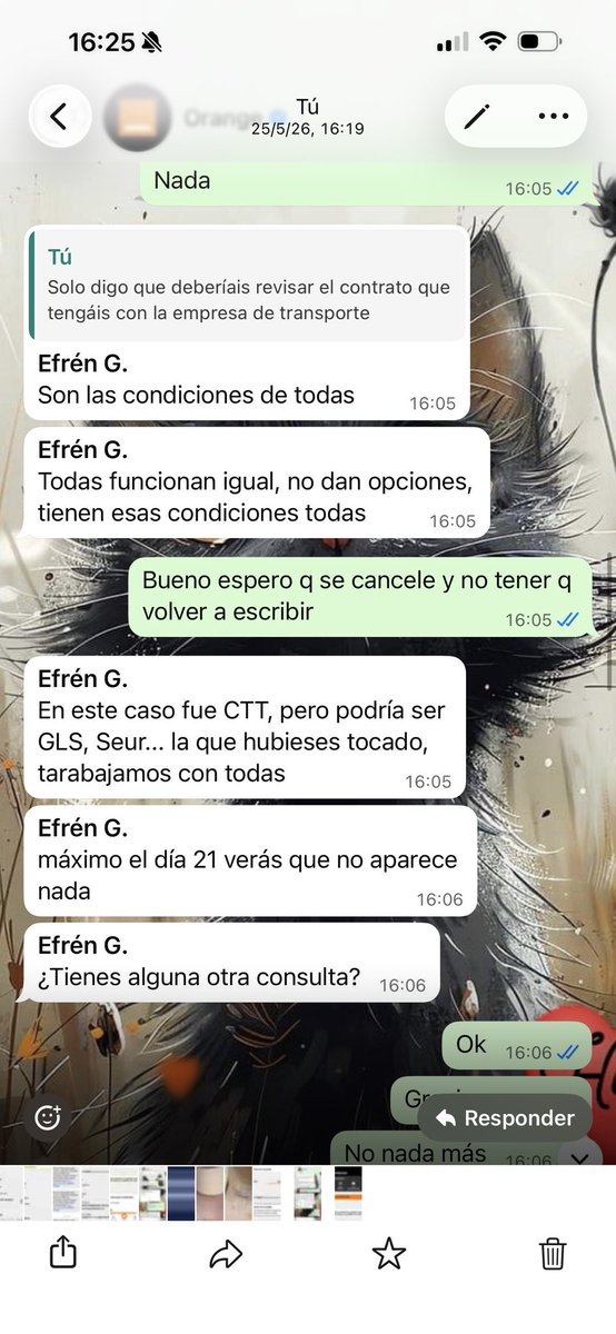 Diana Blanco tweet media