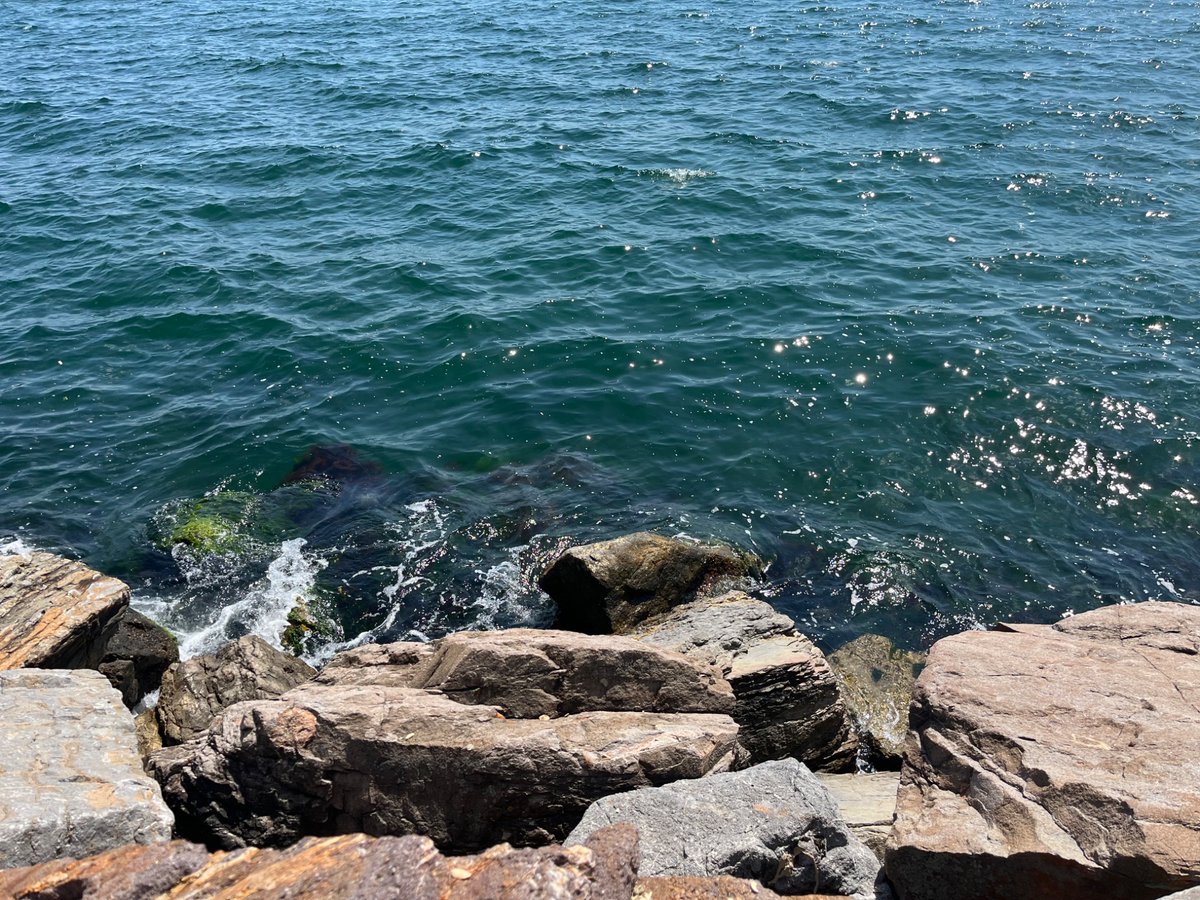 Onurr144's tweet photo. Mis gibi hava ..☀️🌊
#kartal #dragos #istanbul https://t.co/4bGRdi3ACL