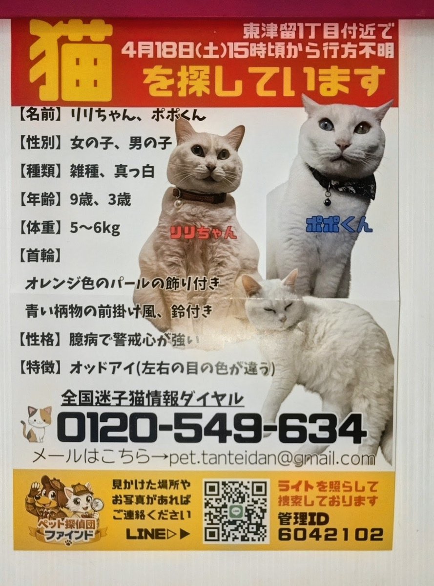 姫崎ゆー。 tweet media