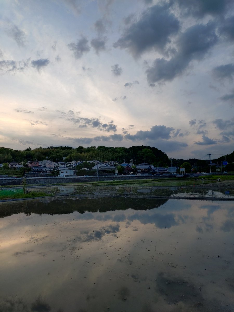741's tweet photo. 今日も帰りいなか道歩いた https://t.co/cU7Dob6hsJ