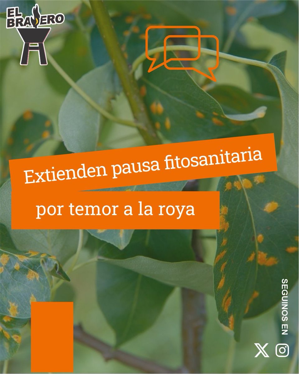 BraseroPy's tweet photo. Para proteger cultivos de soja https://t.co/WhYGzDaxTA