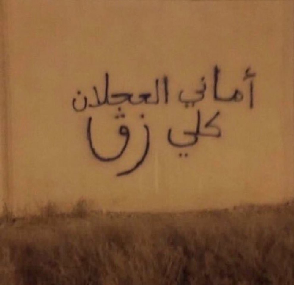 لوفانوفا tweet media
