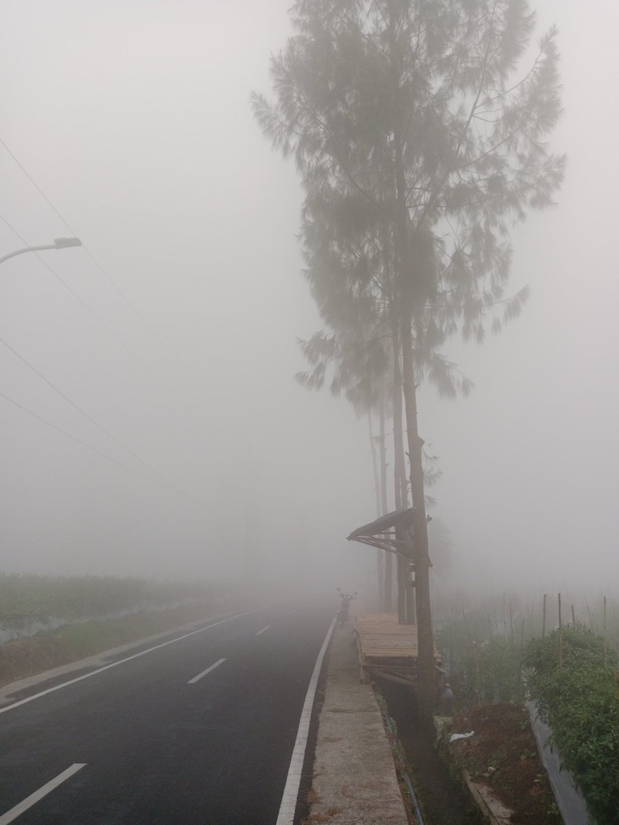 nottced_ tweet media