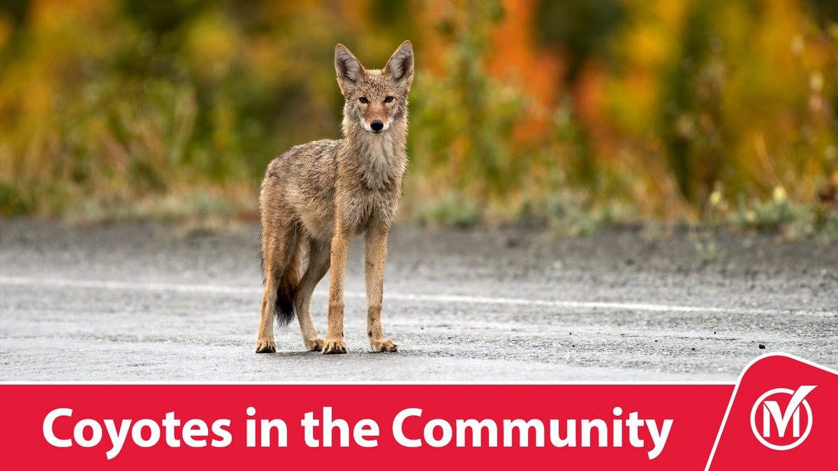 City of Markham tweet media