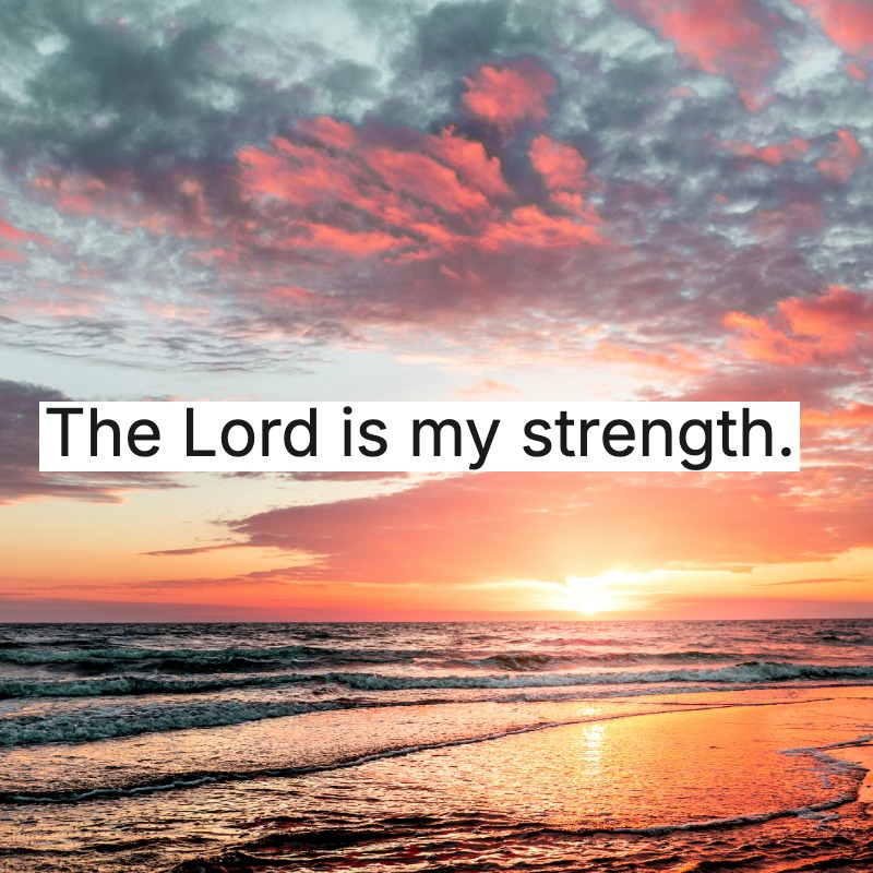 GodlyPhilosophy's tweet photo. https://t.co/OlOtIH4MvR