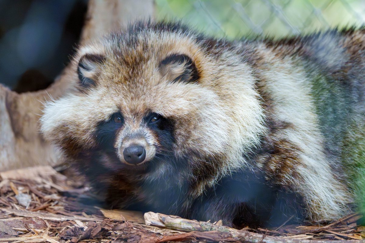 narick tweet media