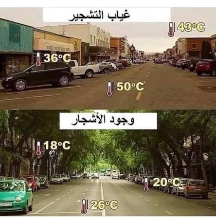 ابراهيم الشمري tweet media