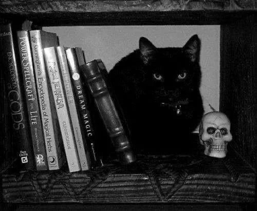 StillHopeful05's tweet photo. 🖤 https://t.co/h5Tn1Juyd1