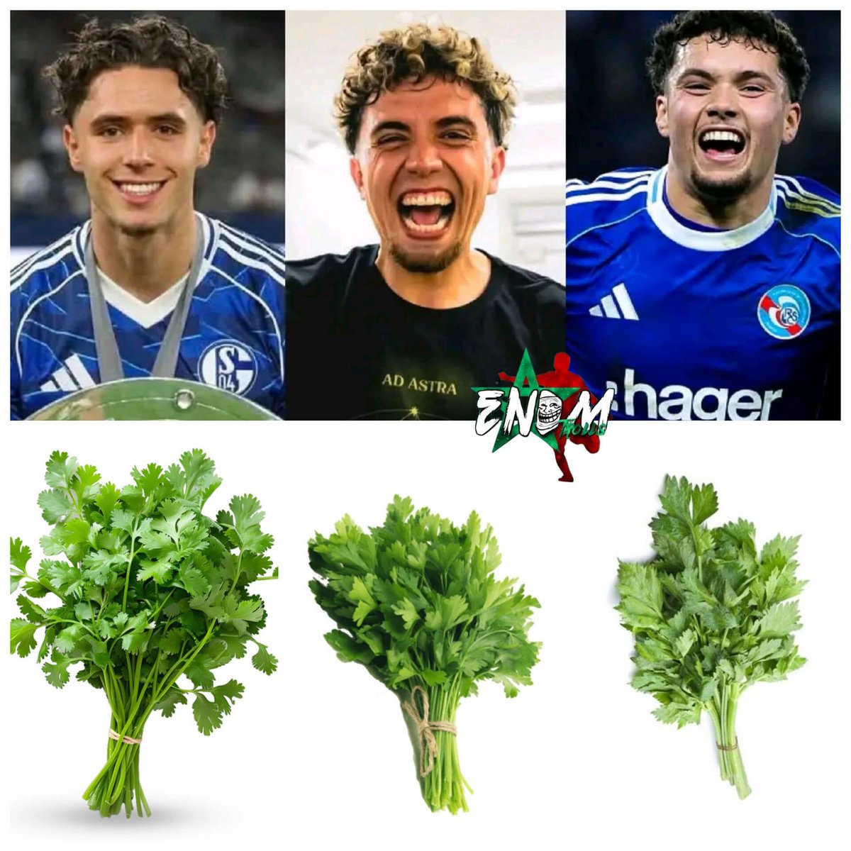 ENDMTrolls_'s tweet photo. Le milieu de terrain de l’équipe marocaine 😀🇲🇦 https://t.co/dHMNaflKwo