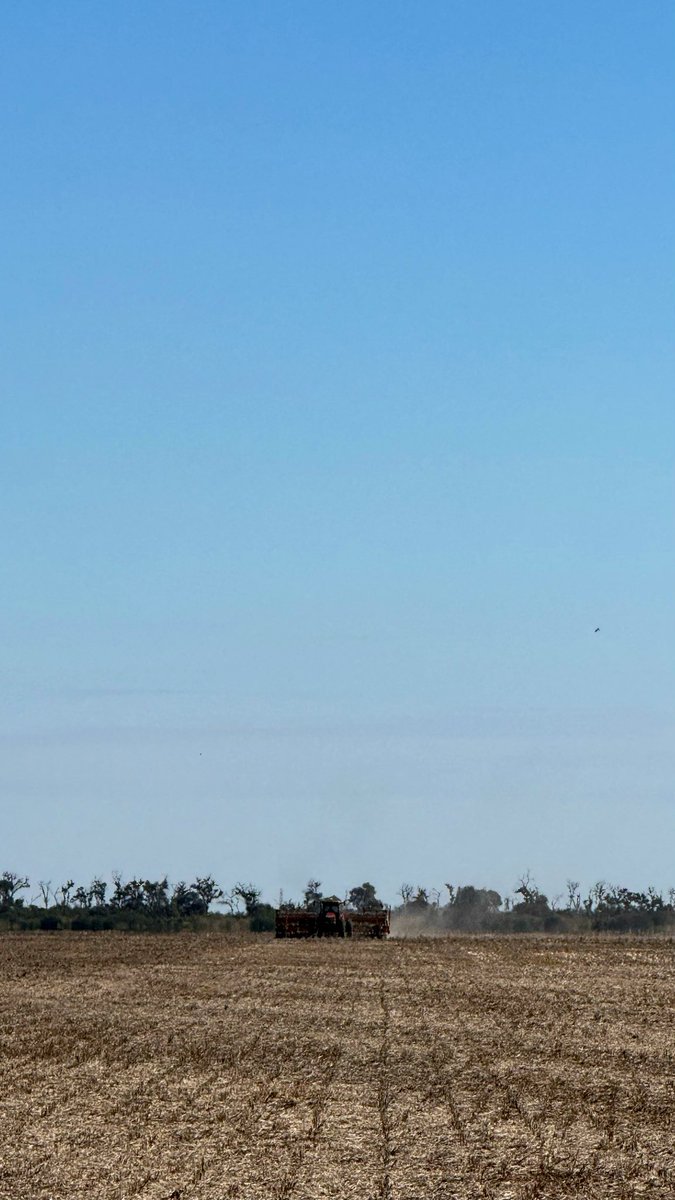 yangor23_'s tweet photo. 25 de mayo haciéndole honor al día. Se incorpora la urea, siembra de camelina + aplicación de preemergentes. 
No se terminó la campaña 25/26 que ya se arrancó la 26/27. 🇦🇷🇦🇷🇦🇷 https://t.co/A17rtcEQTu