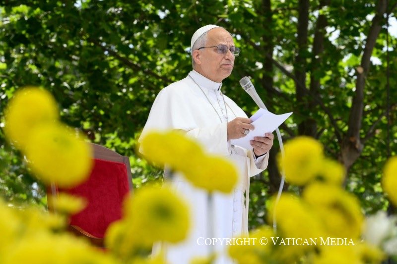 RichRaho's tweet photo. In #MagnificaHumanitas, Pope Leo quotes Tolkien's Lord of the Rings: The Return of the King. “It is not our part to master all the tides of the world, but to do what is in us for the succour of those years wherein we are set, uprooting the evil in the fields that we know, so that those who live after may have clean earth to till.”