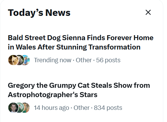 RenfromMB's tweet photo. @AJamesMcCarthy Gregory is trending!! https://t.co/NmdZv5M7cq
