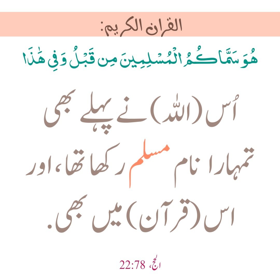 قرآنی جواب tweet media