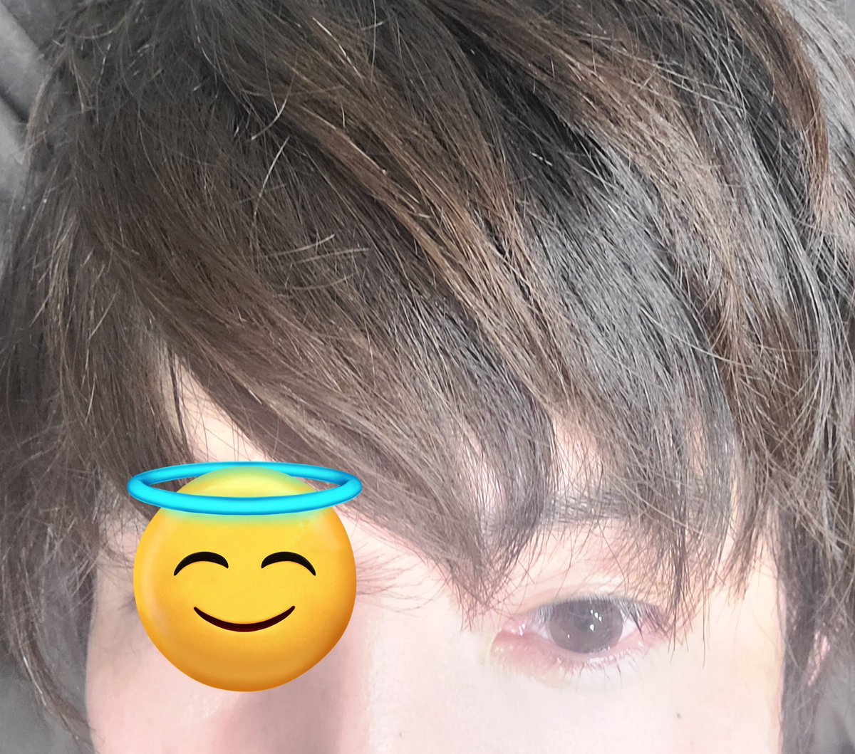 🎀れぼる🎀 tweet media