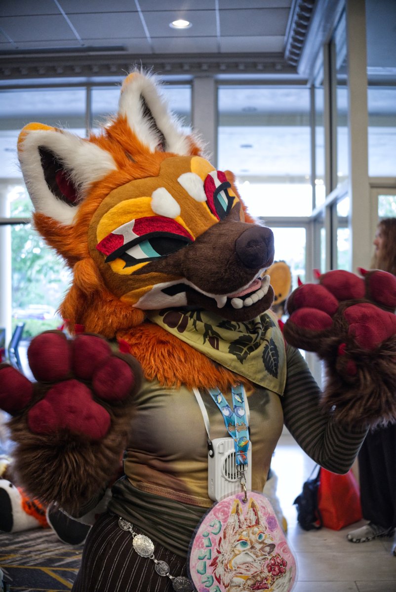 Fangio The Maned Wolf or Stirling The Corgi tweet media