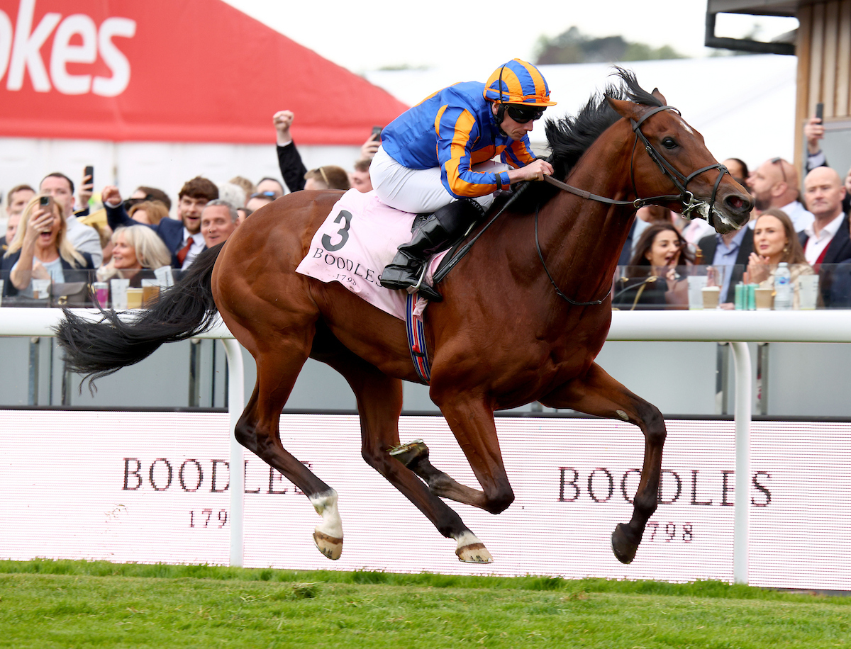 Racing TV tweet media