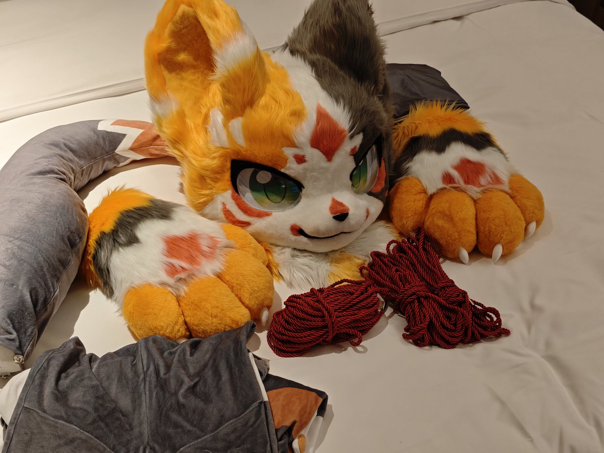 furry_xdream's tweet photo. 你说会发生什么事情呢？🤔 https://t.co/z3meNLbzuq