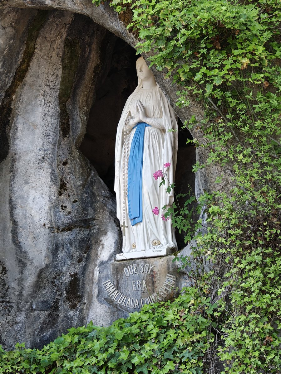 Fr Lawrence Lew, O.P. tweet media