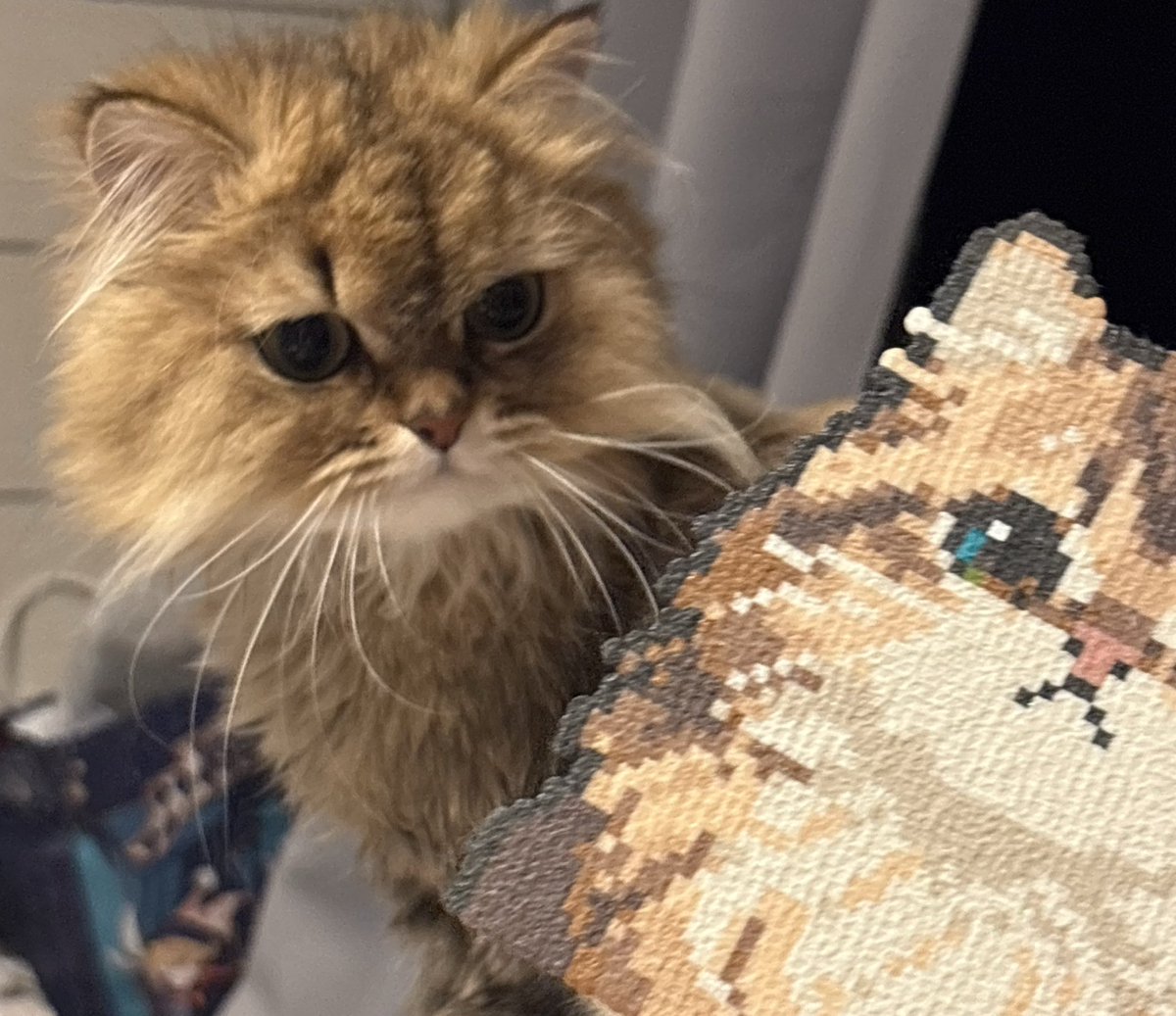 gorogolou_store's tweet photo. アイロンビーズと我が家の猫🐈 https://t.co/goTCgvdZ6M