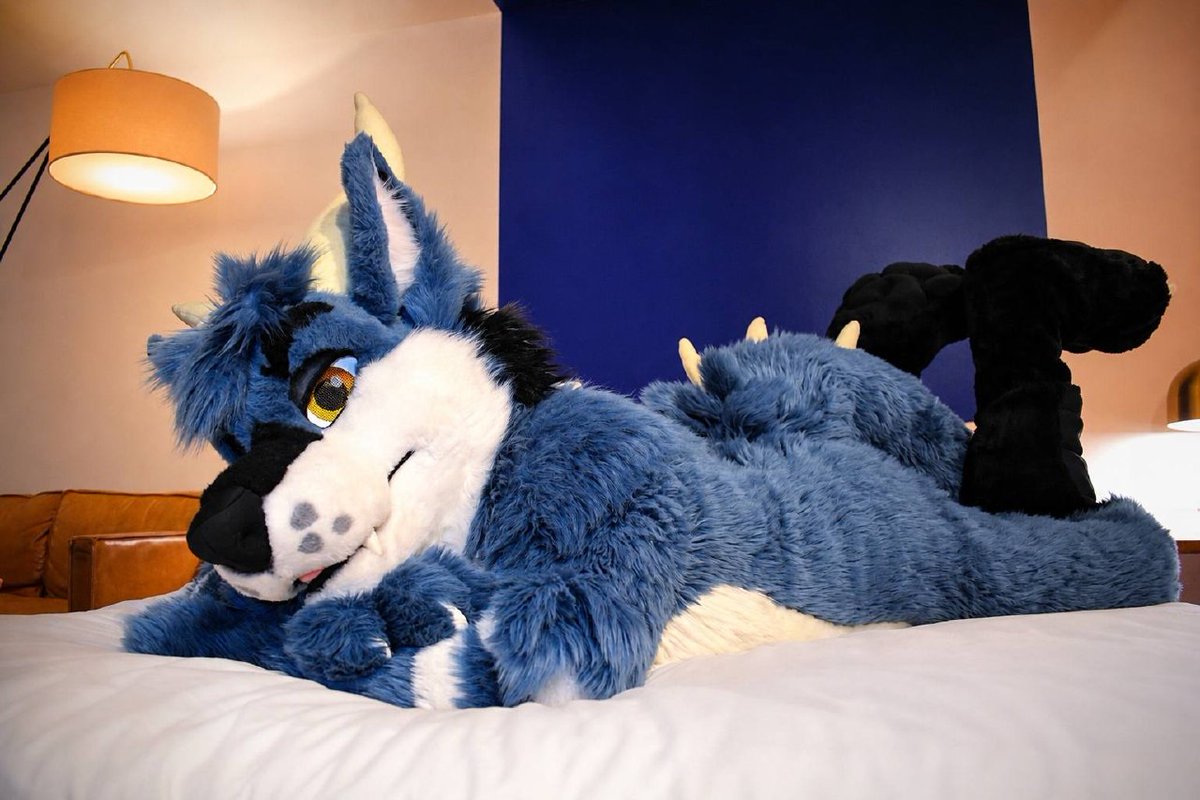 dirdwolf tweet media