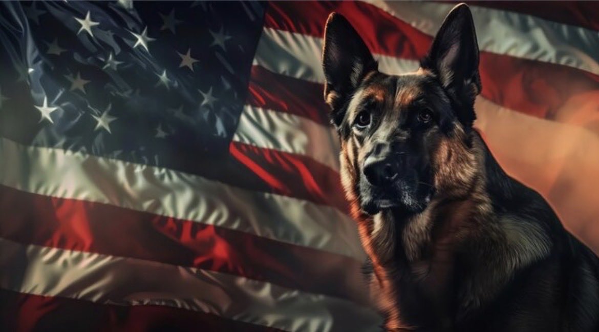 Stolen Valor Mills tweet media