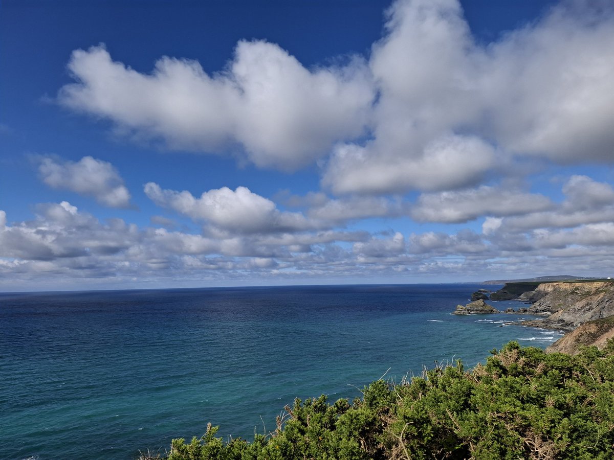 ClareTownsend's tweet photo. Tried Cornwall in May, loved the wild flowers everywhere, the bluebells at Tehidy and the peaceful roads. Most of the two weeks were absolutely Baltic, and now the Towsends have left its a raging heatwave, typical 🙄 https://t.co/fRu5tYirrw