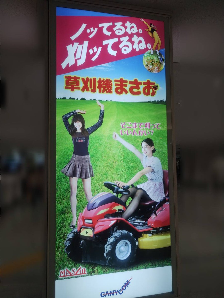 タイガーキメラ tweet media