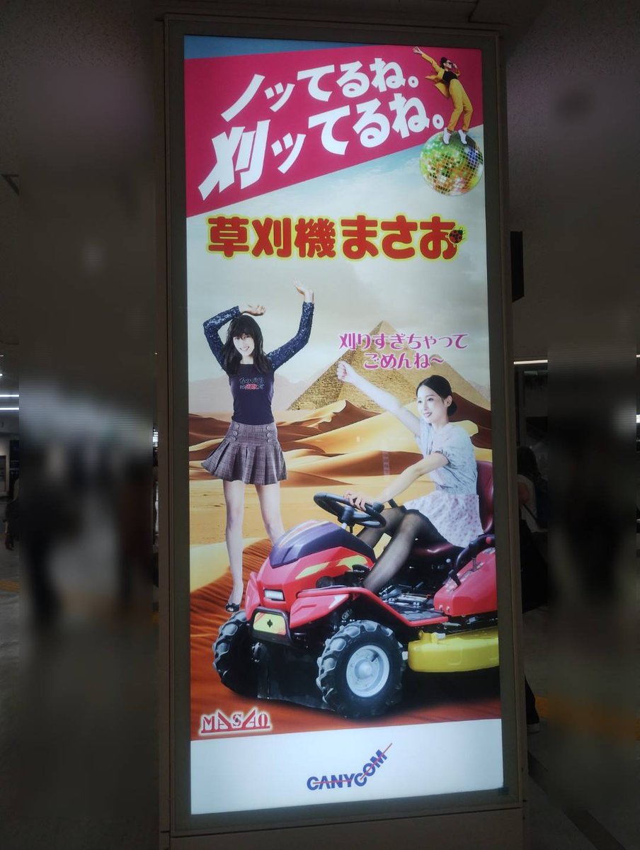 タイガーキメラ tweet media
