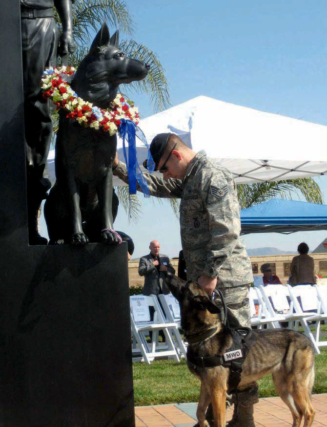Sampson the Service Dog tweet media
