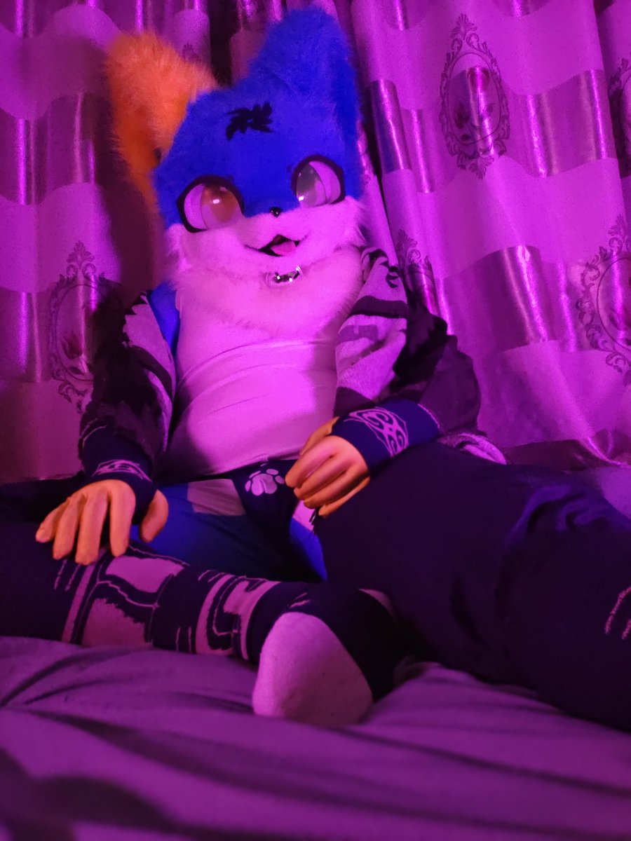 MoLiaiPiano's tweet photo. 被强行灌了媚药的猫猫武士只能乖乖接受“惩罚”了
📷：@Fur_Azure https://t.co/zKhmGjZUco