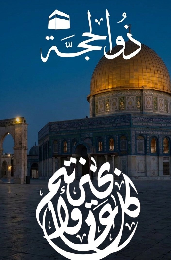 مدلوز tweet media