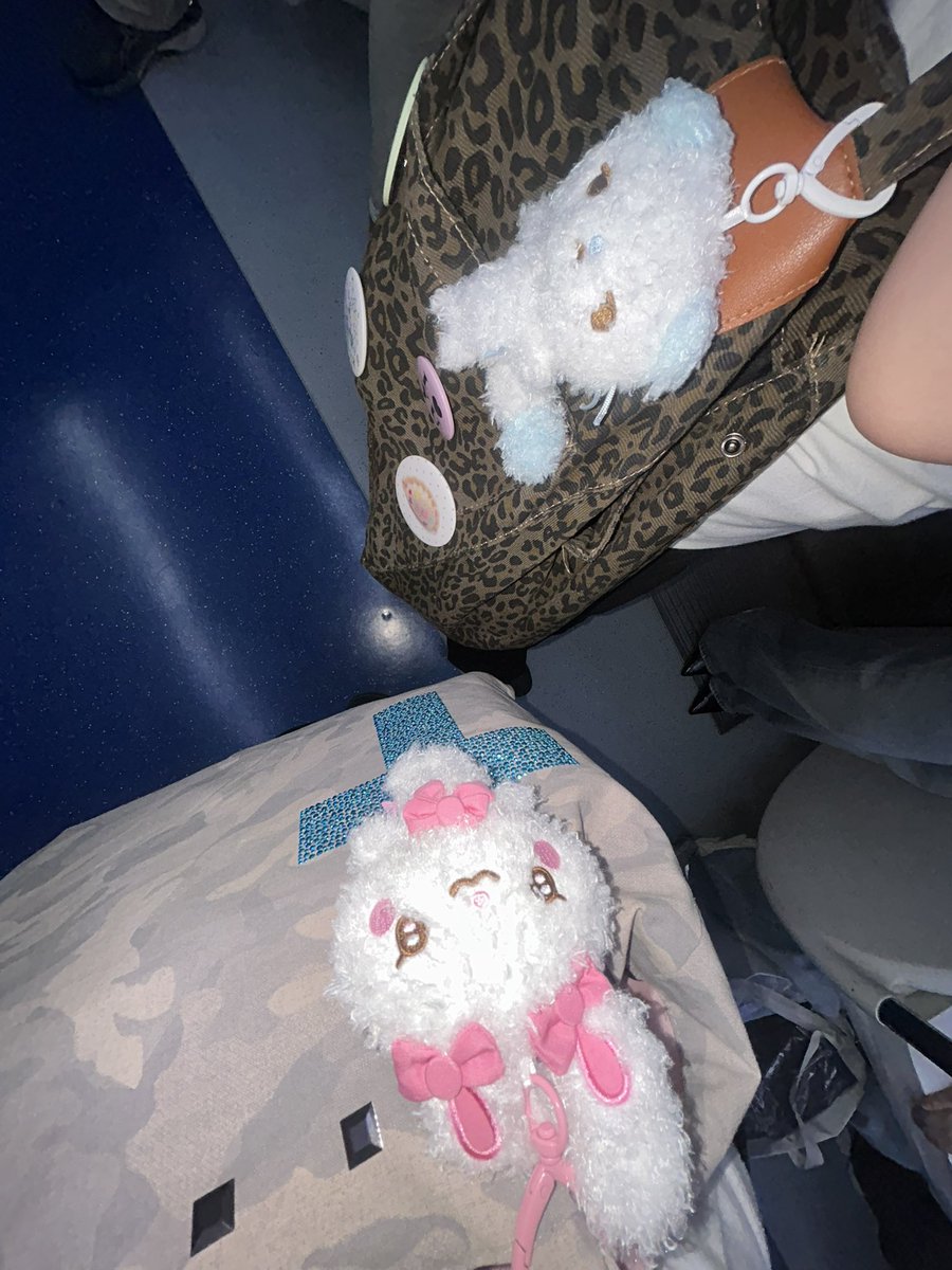 aoiaoi247's tweet photo. 여자♥여자 https://t.co/vkZ2Tp1a9k