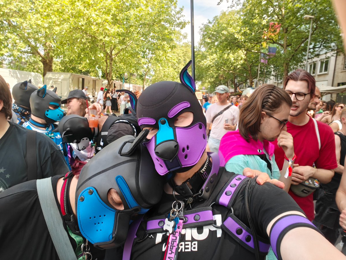 MetaPupAD's tweet photo. Found some cute puppies at CSD Hannover! 

With @KerinoPuppy , @Nimzilla_OwU , Sapo (Froggy), Buddy, Pup Rainbow Dash https://t.co/B9BPbKpdAK