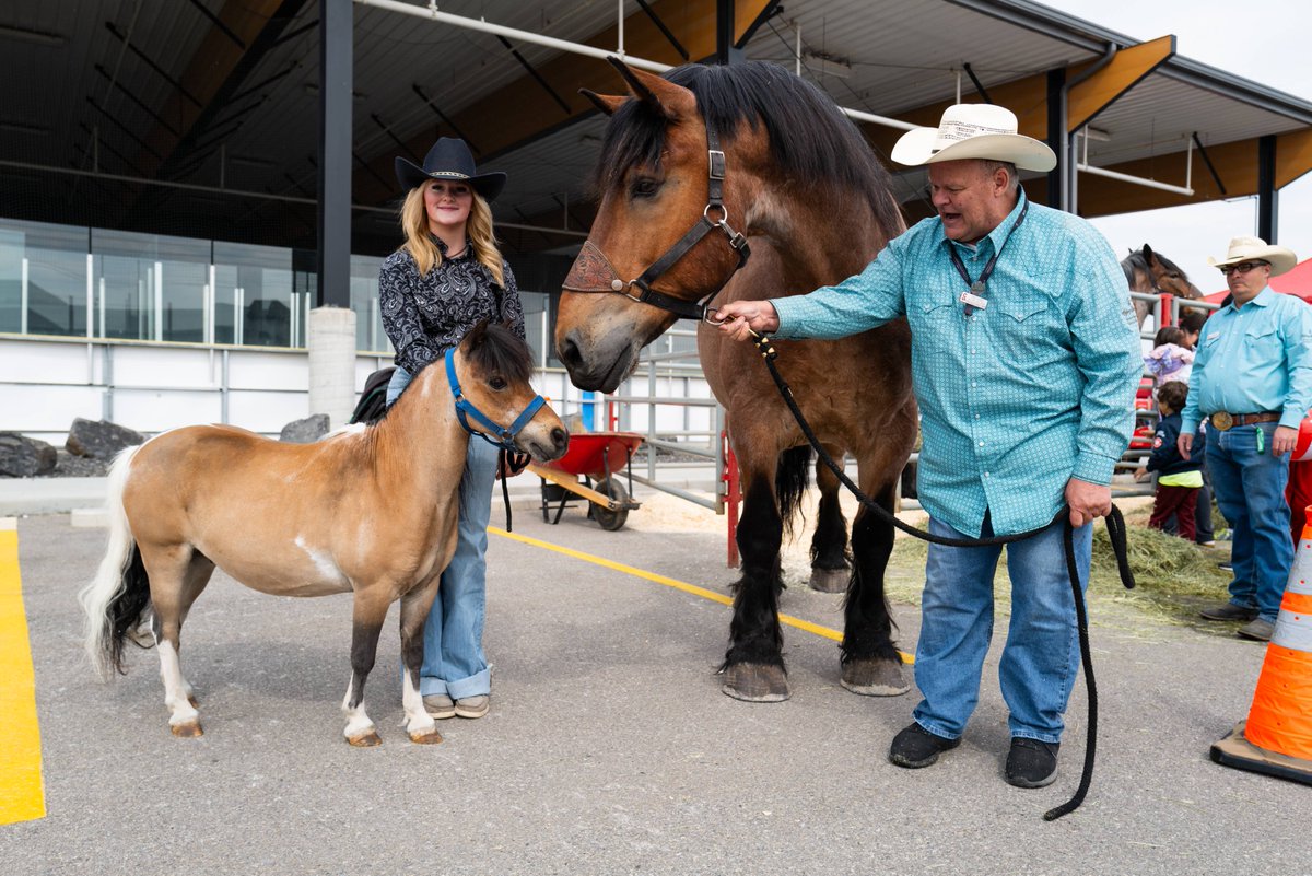 Calgary Stampede tweet media