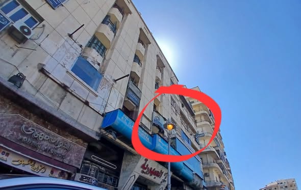 بحبك يا مصر tweet media
