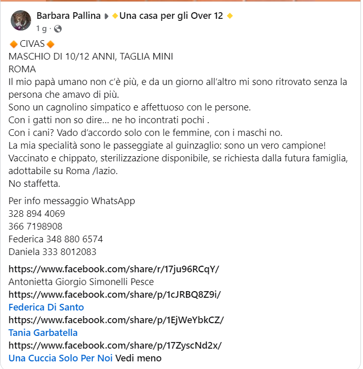 Qua la Zampa tweet media